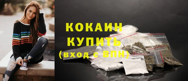 крисы Богородицк