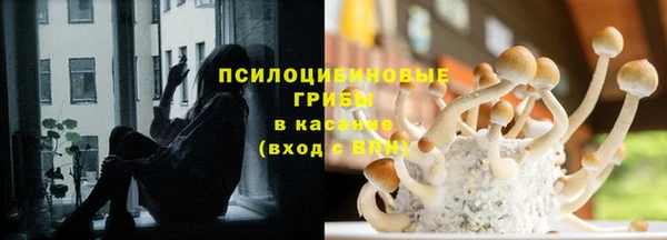 крисы Богородицк