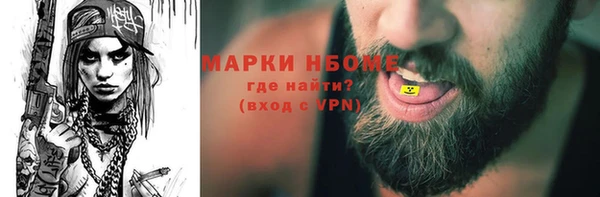 крисы Богородицк