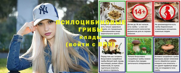 mdma Богданович