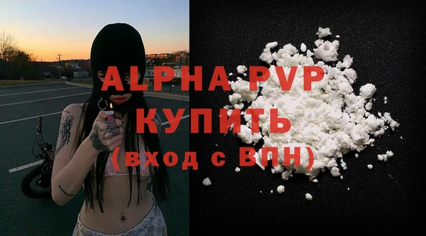 крисы Богородицк