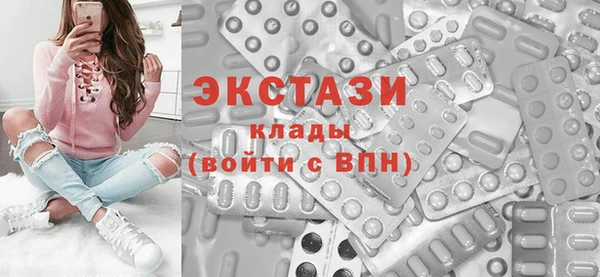 крисы Богородицк