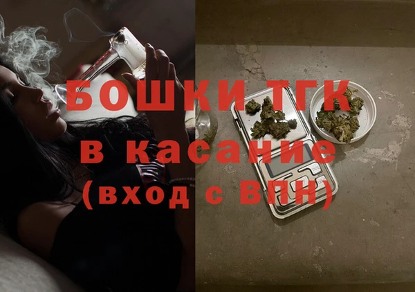 крисы Богородицк