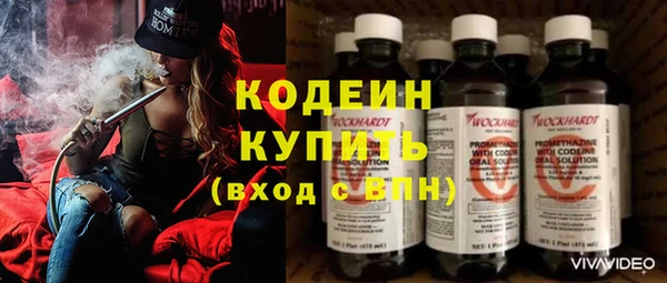 крисы Богородицк