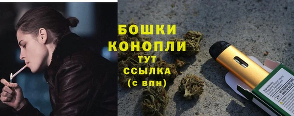 крисы Богородицк